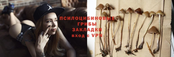 таблы Пересвет