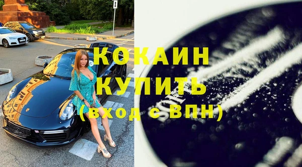 мдпв Пестово