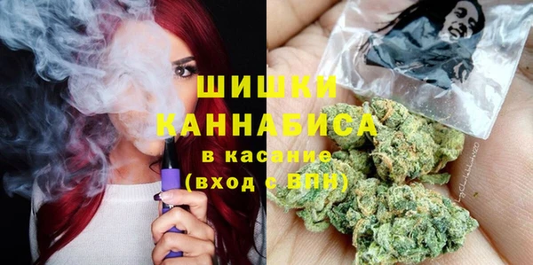 мдпв Пестово