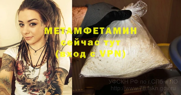 мдпв Пестово